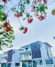 trang luu - Chuyên nhà đất Hải Phòng