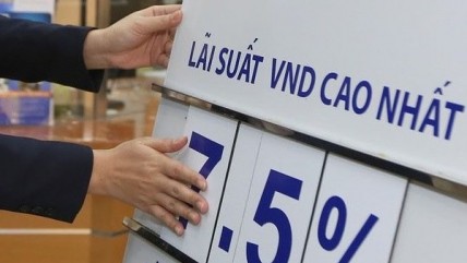 Lãi suất tiền gửi kỳ hạn 12 tháng sẽ giảm về 7,5% vào cuối năm 2023?