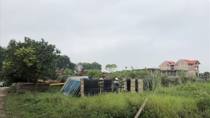 Hà Nội yêu cầu chấm dứt việc cho thuê đất nông nghiệp, đất công trái phép