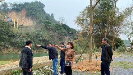 Đất nền giảm giá có kích thích nhà đầu tư xuống tiền?