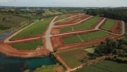 Giao dịch đất nền tại Lâm Đồng có dấu hiệu tăng trở lại