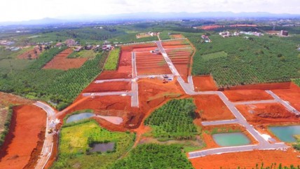 Lâm Đồng cởi trói cho việc chuyển mục đích sử dụng đất, tách thửa đất