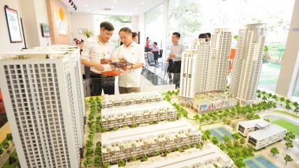 Nghiên cứu đánh thuế nhà ở thứ hai, đất bỏ trống