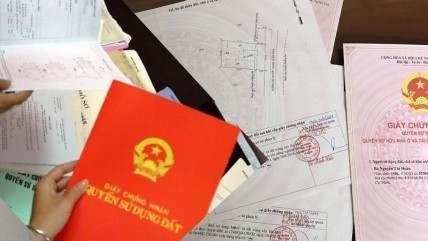 Sổ đỏ đã cấp sẽ bị thu hồi trong trường hợp nào?