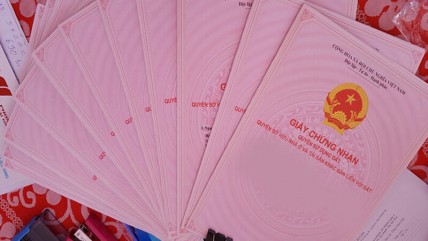 Hơn 85.000 sổ hồng được cấp tại TP HCM trong 3 tháng đầu năm