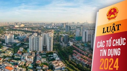 Luật Các TCTD 2024: Ngân hàng được chuyển nhượng tài sản bảo đảm là dự án BĐS để thu hồi nợ