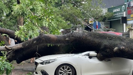 Chi trả bồi thường bảo hiểm do bão số 3 và lũ lụt gây ra ước khoảng 7.000 tỷ đồng