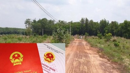 Tin vui: Năm 2025 người dân dễ dàng xin lên đất thổ cư nếu biết 2 điểm này