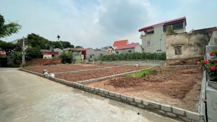 Đất nền tỉnh gãy sóng