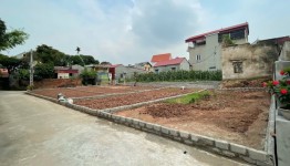 Đất nền tỉnh gãy sóng