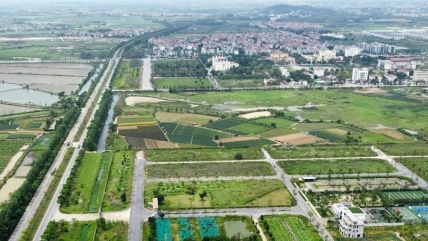 Hoàn thiện pháp luật về tài chính đất đai đồng bộ, minh bạch và khả thi