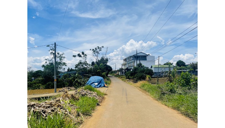 Lô Đất Trung Tâm Ngã 5 Siêu Rẻ Cách Vòng xoay Cao Tốc Tân Phú Bảo Lộc chỉ 700m