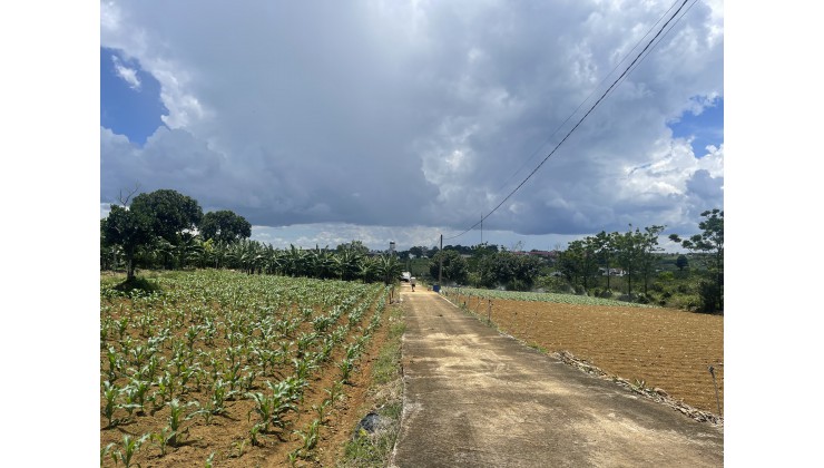 Lô Đất Trung Tâm Ngã 5 Siêu Rẻ Cách Vòng xoay Cao Tốc Tân Phú Bảo Lộc chỉ 700m