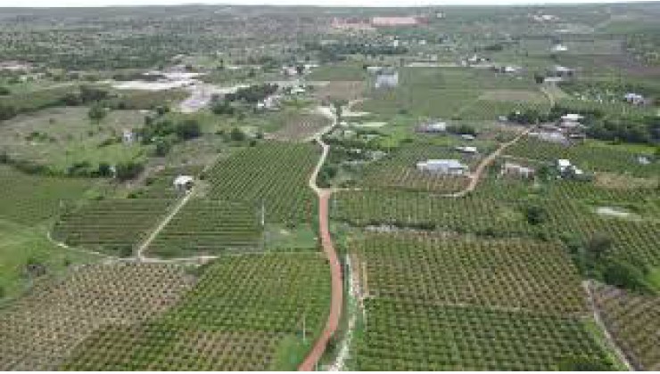 Đất nông nghiệp Hòa Thắng-Bắc Bình 11.656,6m2 ngay đường nối ra sân bay Phan Thiết
