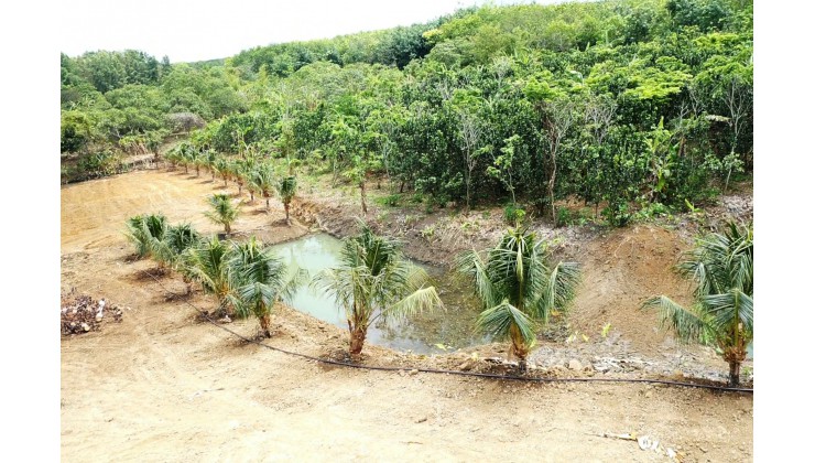 Đất nghỉ dưỡng tuyệt: Giáp Suối và Hồ Lớn, đón đường Vành Đai, Sân bay Long Thành. Giá 2 Triệu/m2