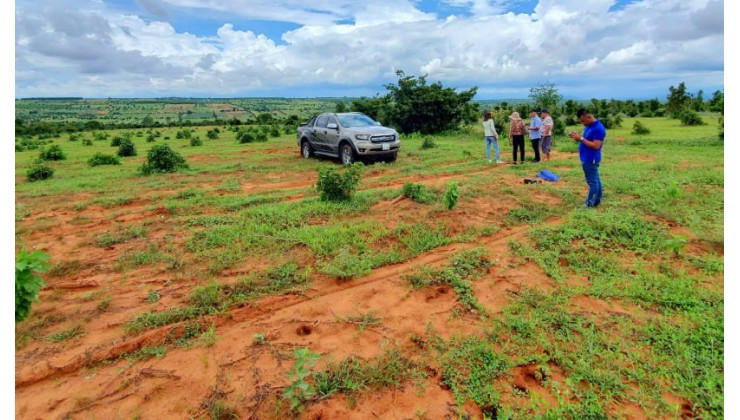 Đất đô thị Chợ Lầu ngay gần mặt tiền đường liên huyện , giá chỉ 300tr/ sào. Sổ mới có đường