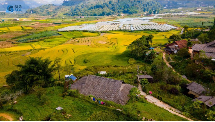 Bán Nhanh Mảnh Đất phù hợp làm homestay tại Tả Phìn, Sapa