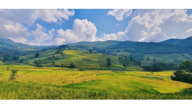 ĐẤT NỀN SAPA-ĐÓN SÓNG SÂN BAY,VIEW THUNG LŨNG,GIÁ ĐẦU TƯ