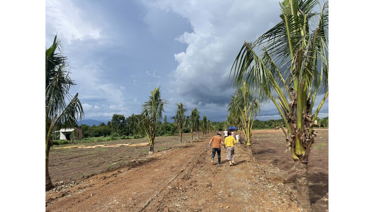 Đất vườn sinh thái Cẩm Mỹ, liền kề Sân bay Long Thành, Sổ hồng sẵn