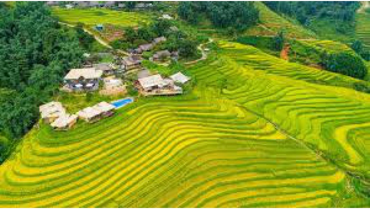 ĐẤT NỀN SAPA- VIEW RUỘNG BẬC THANG SIÊU ĐẸP, DIỆN TÍCH RỘNG, 2 MT, GIÁ SIÊU TIỀM NĂNG