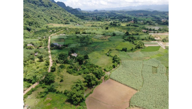 Mảnh đất gần khu công nghiệp tương lai gần 1,3 ha