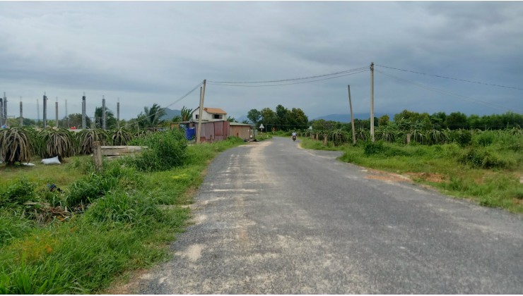 Đất đường nhựa Phùng Hưng 30x100 phủ hồng Tân Tiến Lagi Bình Thuận 6,6 tỷ gần biển 1,5 km