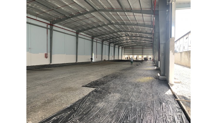 Bán Nhà Xưởng mới 3000m2 Đức Hoà 3 Long An