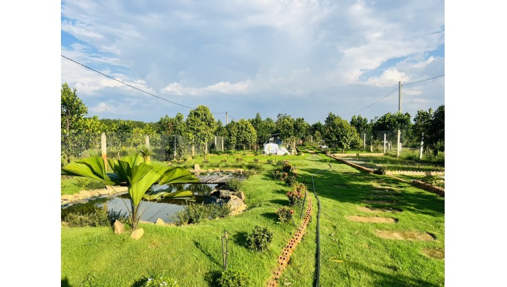 Cần Bán Đất Vườn Đã Có Sổ, Ngay Hồ Trị An - Đồng Nai
