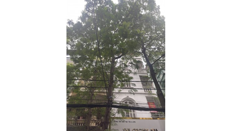 Bán tòa nhà mới Thái Hà, Đống Đa, 80m2, 8 tầng, mt 5.5m, ô tô, tm, giá 20.6 tỷ