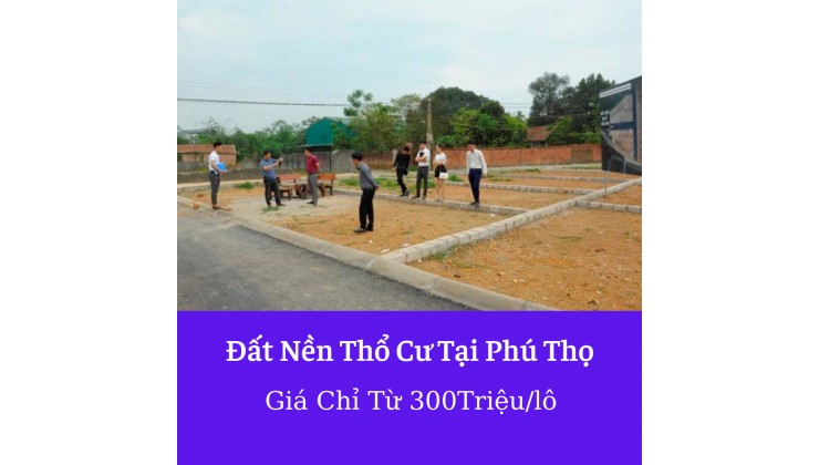 TUYẾT LY - CHUYÊN ĐẤT NỀN GIÁ RẺ THANH HOÁ PHÚ THỌ CHỈ TỪ 180 TRIỆU/LÔ