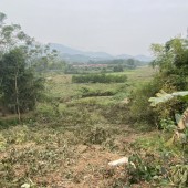 Cần chuyển nhượng mảnh đất 1037m 250m đất ODT  tại thị trấn Lương Sơn - Hòa Bình