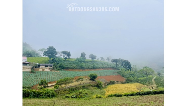 Đất trang trại Mộc Châu giá rẻ lợi nhuận kép