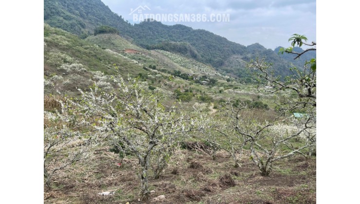 bán đất ở gần khu đô thị kiều mẫu  cách khách sạn mường thanh 2km