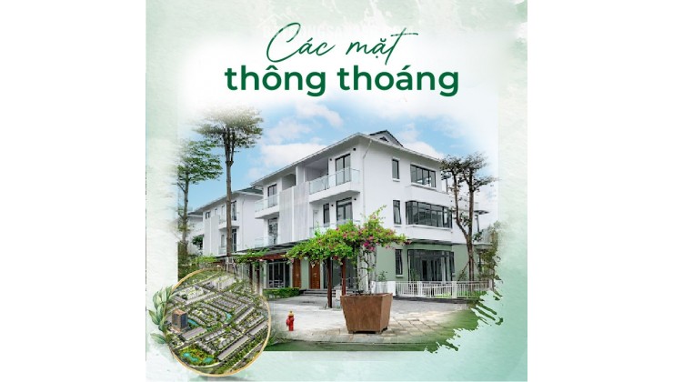 Nhanh tay mua em nhà phố xin xò