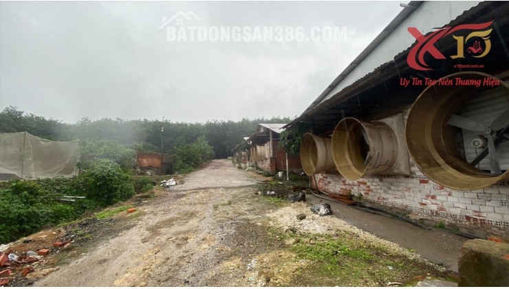 Bán trại heo lạnh xã Hàng Gòn TP Long Khánh diện tích 19000m2 thu nhập 3 tỷ/ năm