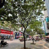 Nhà mặt phố Giang Văn Minh, TT Ba Đình 60m² - 5 tầng - Giá 32.5 tỷ
