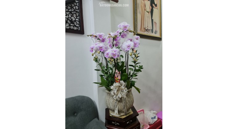 BÁN NHÀ PHỐ LÊ GIA ĐỊNH, PHỐ HUẾ, KHU PHỐ CỔ, Ô TÔ GẦN, TIỆN ÍCH VIP, 40M2, 4PN, 3 TỶ HƠN