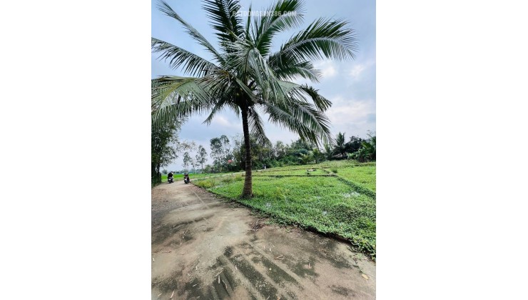 GẤP GẤP Bán nhanh lô đất cực đẹp ở Xuân Diệm, Điện Tiến