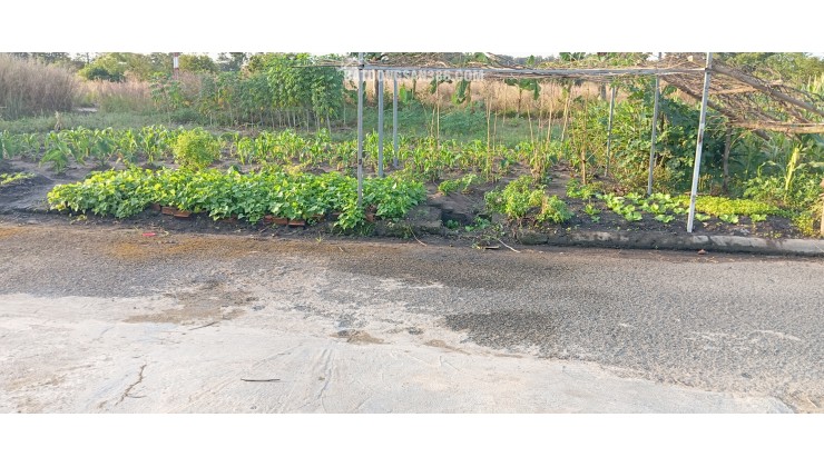 Bán đất  sổ riêng thổ cư 100% tại Xã An Viễn -    Trảng Bom - Đồng Nai
