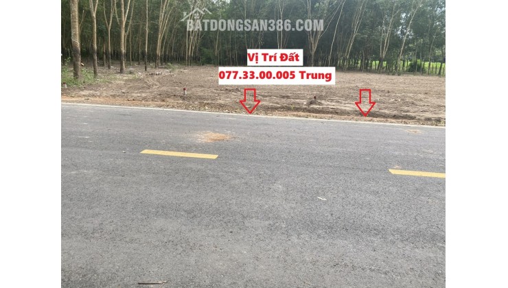 ẤP 2 Minh Thắng Thị Xã Chơn Thành Bình Phước đường nhựa 8m