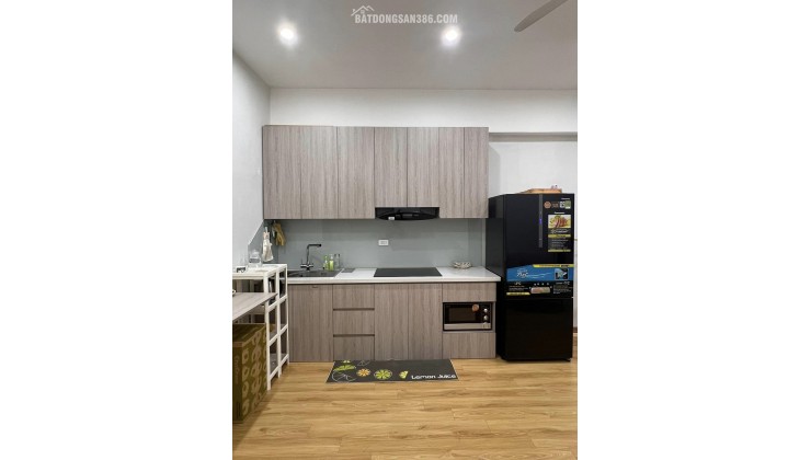 Bán căn hộ 48m chung cư Thanh Hà Cienco 5, thiết kế 1pn,1wc, Full nội thất