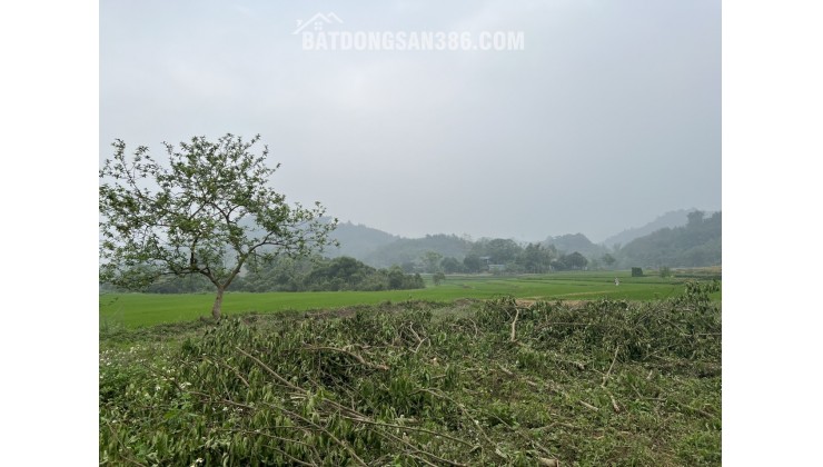 Bán đất Đà bắc nghỉ dưỡng View cánh đồng nước chảy quanh năm giá cực rẻ
