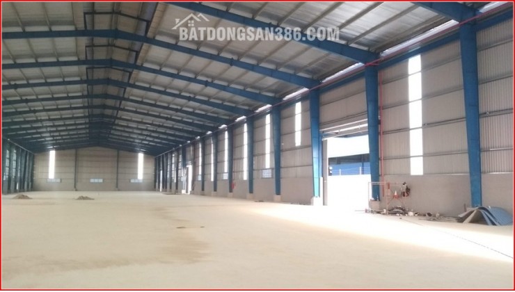 CHO THUÊ KHO DIỆN TÍCH 1100M2, 800M2, 500M2, 250M2 TẠI KHU VỰC SƠN TRÀ