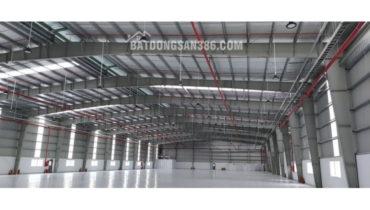 CHO THUÊ KHO DIỆN TÍCH 1100M2, 800M2, 500M2, 250M2 TẠI KHU VỰC SƠN TRÀ