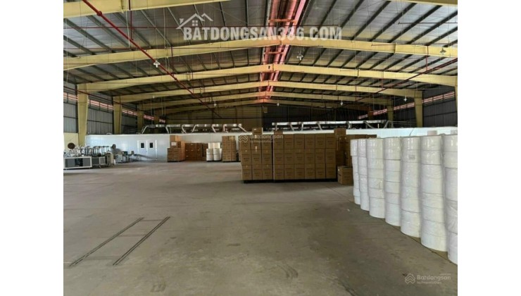 CHO THUÊ KHO DIỆN TÍCH 1000M2 ĐƯỜNG TRƯỜNG SƠN GIÁ CHỈ 40 TRIỆU/THÁNG