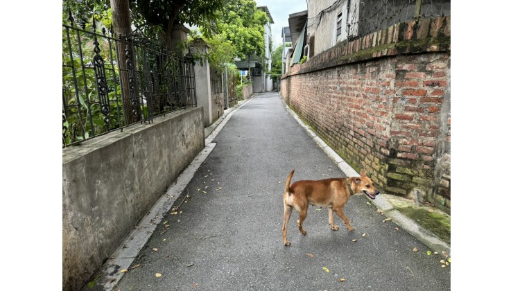 Bán 56m, Tiên Hùng, Nguyên Khê, Đông Anh, oto đỗ đất, giá 1,9 tỷ.