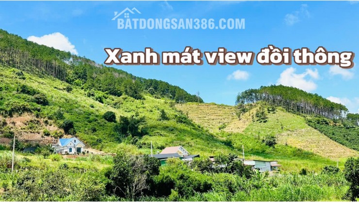 13 LÔ ĐẤT ĐẦU TƯ | XÃ ĐÔNG THANH | HUYỆN LÂM HÀ | VEN THÀNH PHỐ DALAT