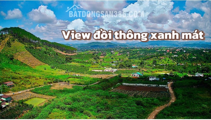 13 LÔ ĐẤT ĐẦU TƯ | XÃ ĐÔNG THANH | HUYỆN LÂM HÀ | VEN THÀNH PHỐ DALAT