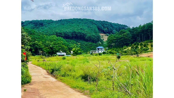 BÁN 3 LÔ LIỀN KỀ | VEN DALAT | XÃ GIA LÂM | HUYỆN LÂM HÀ | TỈNH LÂM ĐỒNG.