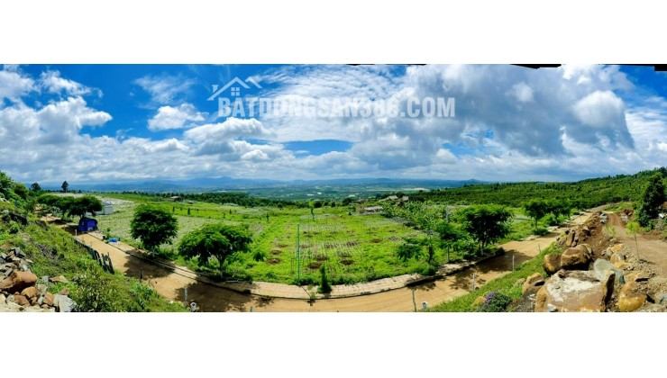 ĐẤT ĐẦU TƯ NGHĨ DƯỠNG – VIEW ĐẸP – TẠI TÂN HÀ LÂM HÀ – VEN THÀNH PHỐ DALAT